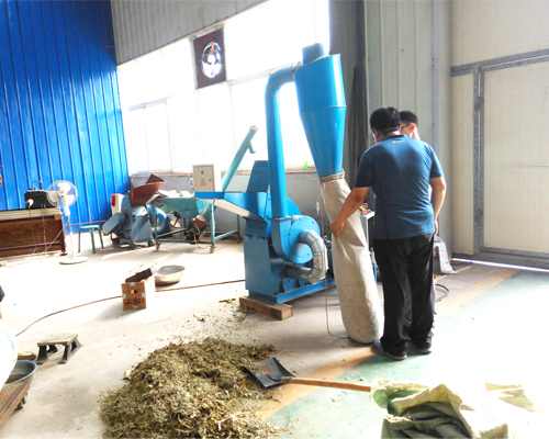 ӱ͑B(yng)HնwϙC(j)Ǻã