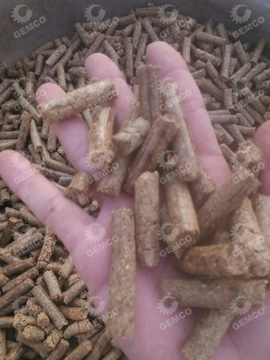 300型動盤顆粒機壓制的煙桿顆粒 300型動盤顆粒機壓制的煙桿顆粒