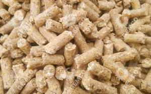 400型顆粒飼料機試機顆粒 400型顆粒飼料機試機顆粒