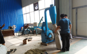 客戶正在試機飼料粉碎機 客戶正在試機飼料粉碎機