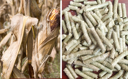 秸稈及秸稈顆粒 秸稈及秸稈顆粒